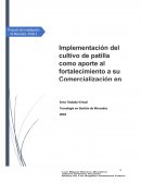 Proyecto de Investigación de Mercados Parte 2 INFORME REAL