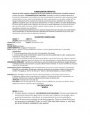 Ejemplo de planeación argumentada