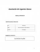 Asociación de regantes Ganso