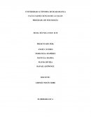 PROGRAMA DE PSICOLOGÍA test D-48