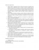 Análisis de las organizaciones