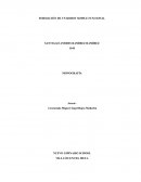 FORMACIÒN DE UN ROBOT SIMPLE FUNCIONAL