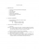 PLAN DE CLASES The animals