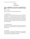 Determinacion de los costos de produccion de la empresa Panqui SAC del distrito de San Sebastian