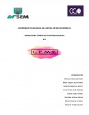 FORMACION SOCIOCULTURAL GEMK