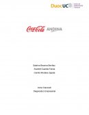 Diagnostico Empresarial Andina S.A