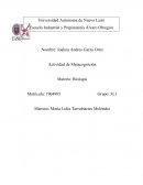 Actividad de Metacognición. Alimentos. Valor Nutrimental