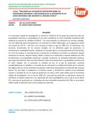 Gases de protección y su impacto en la soldadura de acero inoxidable austenítico 304L