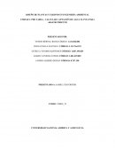 DISEÑO DE PLANTAS Y EQUIPOS EN INGENIERÍA AMBIENTAL