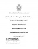 Asignatura “Biología celular” Práctica de Extracción de ADN