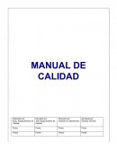 Manual de calidad tipo