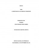 LA IMPORTANCIA DE LAS REDES DE TRANSPORTE