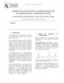 DISEÑO DE UNA PLANTA DE PRODUCCION DE CICLOHEXANONA A PARTIR DE FENOL