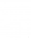 DESARROLLO DE ACTIVIDADES REALIZADAS EN EL SERVICIO CEUCONDI