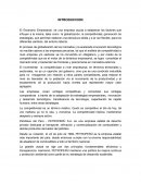 DISEÑO ORGANIZACIONAL PETROPERU