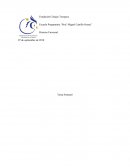 Etica y valores profesionales