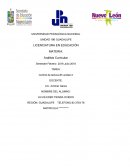 El curriculum modelado por los profesores