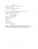 Gestion y conocimiento empresa