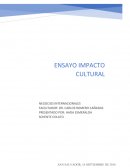 IMPACTO CULTURAL