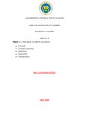 CAUSAS DE LA PRIMERA GUERRA MUNDIAL