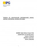 TRABAJO DE INVESTIGACION MICROBIOLOGIA BASICA, ASEPSIA Y ANTISEPSIA: VIH/SIDA-VPH-RABIA