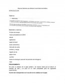 Algunos factores que afectan la actividad enzimatica
