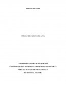 Diferencias del control aduanero en los diferentes estatutos aduaneros