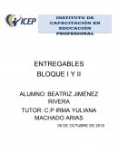 FORMA DE ORGANIZACIÓN DE LA EMPRESA