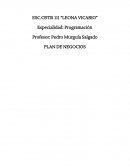 PLAN DE NEGOCIOS. COLORES DEL LOGO