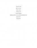 Control 2 GENERACION DE LAS IDEAS