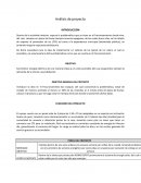 Análisis de proyecto. PERFIL DEL PROYECTO