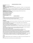 PLANIFICACIÓN DIDÁCTICA 5° GRADO