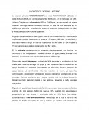 DIAGNÓSTICO EXTERNO – INTERNO