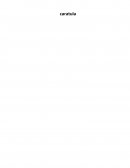 TEORIA DE RICHARD MATTESSICH