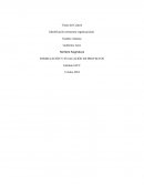 Identificación estructura organizacional