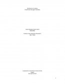 Distribucion en planta. Tratamiento de aguas residuales