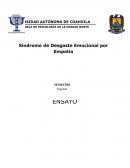 Sindrome de desgaste emocional por empatia