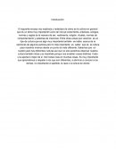 Cultura, su importancia