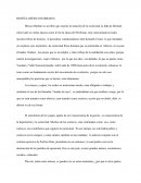 México Barbaro, reseña