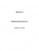 TRABAJO PRACTICO N° 3 ADRIANA SOSA PROGRAMA DE RESTABLECIMIENTO DE DERECHOS