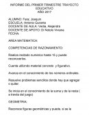 Proyecto pedagogico individual