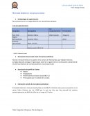 Mercado objetivo y sus proyecciones