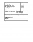 Investigación sobre la relación entre la vida laboral y el bienestar