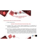 Descripción Y Estructura Mini Cadena Productiva Del Mopa – Mopa