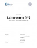 Mecánica de Fluidos Laboratorio N°2 Construcción de Curvas de un Sistema de Flujo