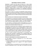 Aprendizaje, memoria y amnesia