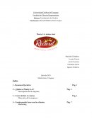 Plucky S.A. trabajo final