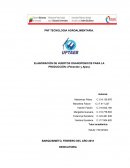 PNF TECNOLOGIA AGROALIMENTARIA