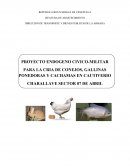 Proyecto endogeno civico militar