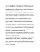 Costa rica y el cafe